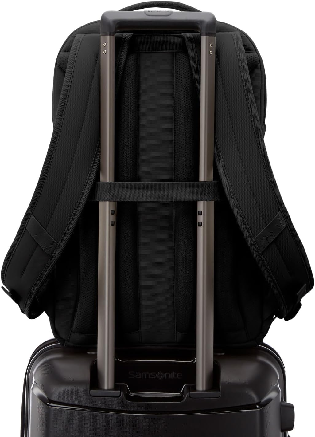 Samsonite Companion Backpack